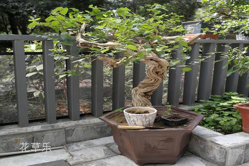 镜头前的偏振片亚洲av无码国产一区二区，揭示视觉世界的神秘面纱